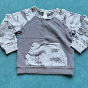 Carters Gray Dinosaur Print Kids Sweatshirt